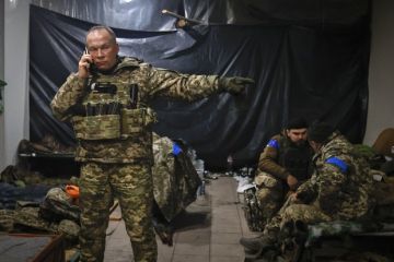 �������: ������� �� ������ ����� �����������, ���� ������������ �� �������� �����