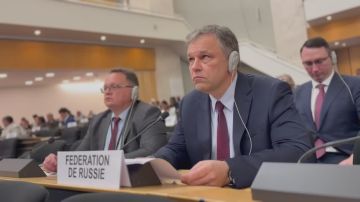 Родион Мирошник: Полное видео моего выступления на сессии СПЧ, которое тут же вызвало взрывную реакцию у представителей Литвы и Украины