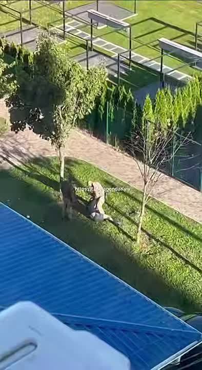 #раскладка. Пока в Киеве бардак из-за перекрытых мостов, людоловы отлавливают крепостных и продолжают избивать