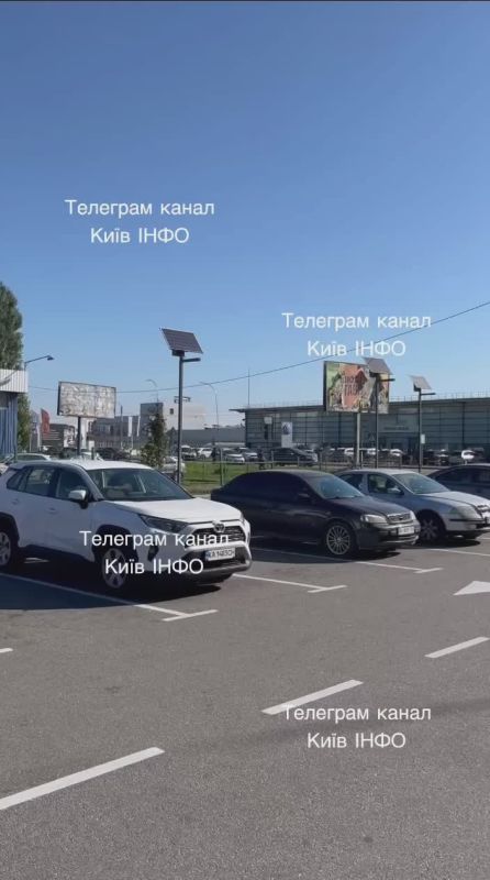 Украинец с лопатой напал на полицаев в Киеве