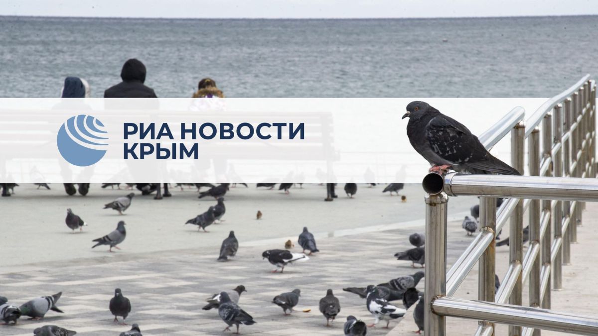 Усиление ударов по Украине и Мерц в Киеве: главное за день