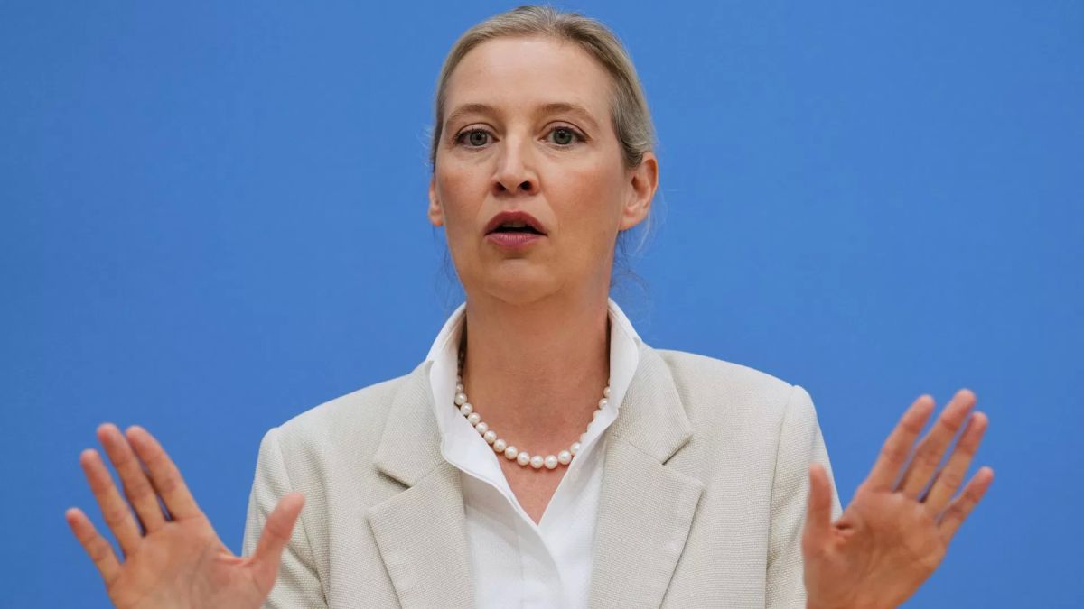 Заявление Мерца по помощи Украине возмутило председателя АдГ Вайдель