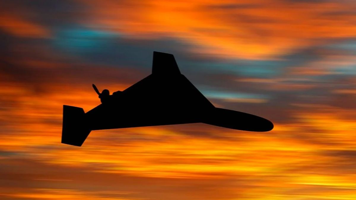 Перехватить российский дрон для украинцев — "чистое везение", но происходит это очень редко