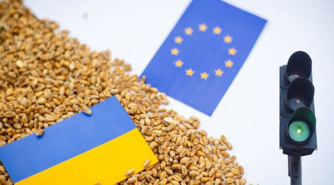 FT: ЕС ограничит Киеву доступ к субсидиям и сельскохозяйственному рынку в случае присоединения к союзу