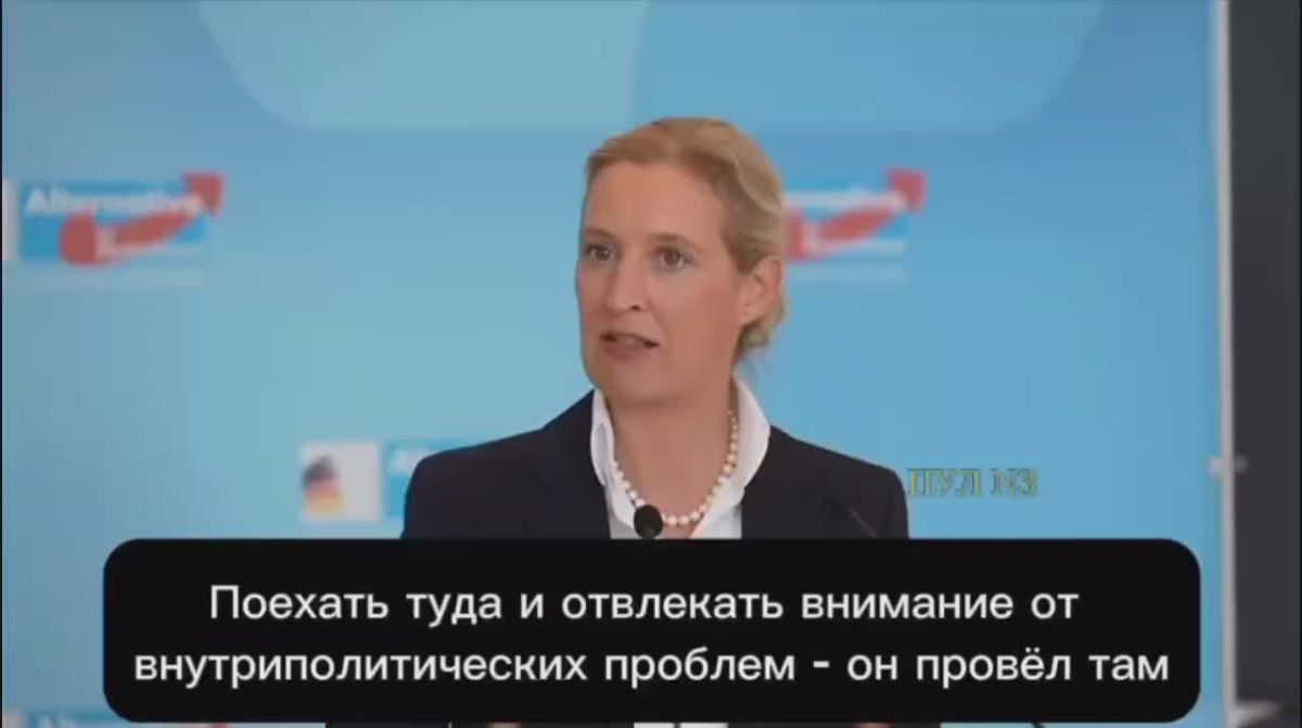 Вячеслав Никонов: Лидер «Альтернативы для Германии» Вайдель - заявила, что Мерц разрушает ФРГ, помогая Украине: