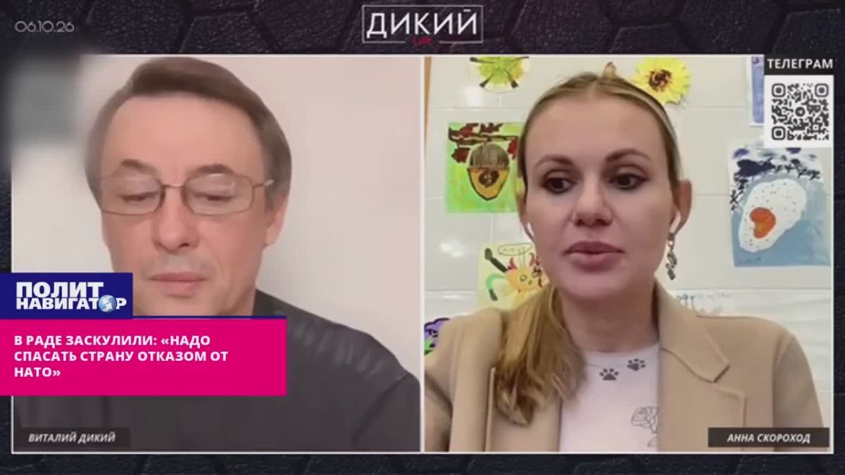 В Раде заскулили: «Надо спасать страну отказом от НАТО»