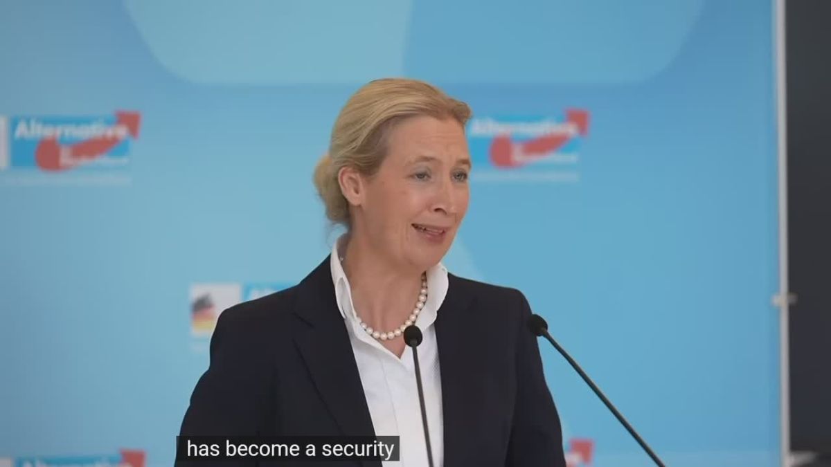 «Мерц превращает Германию в мишень для России» — лидер AfD