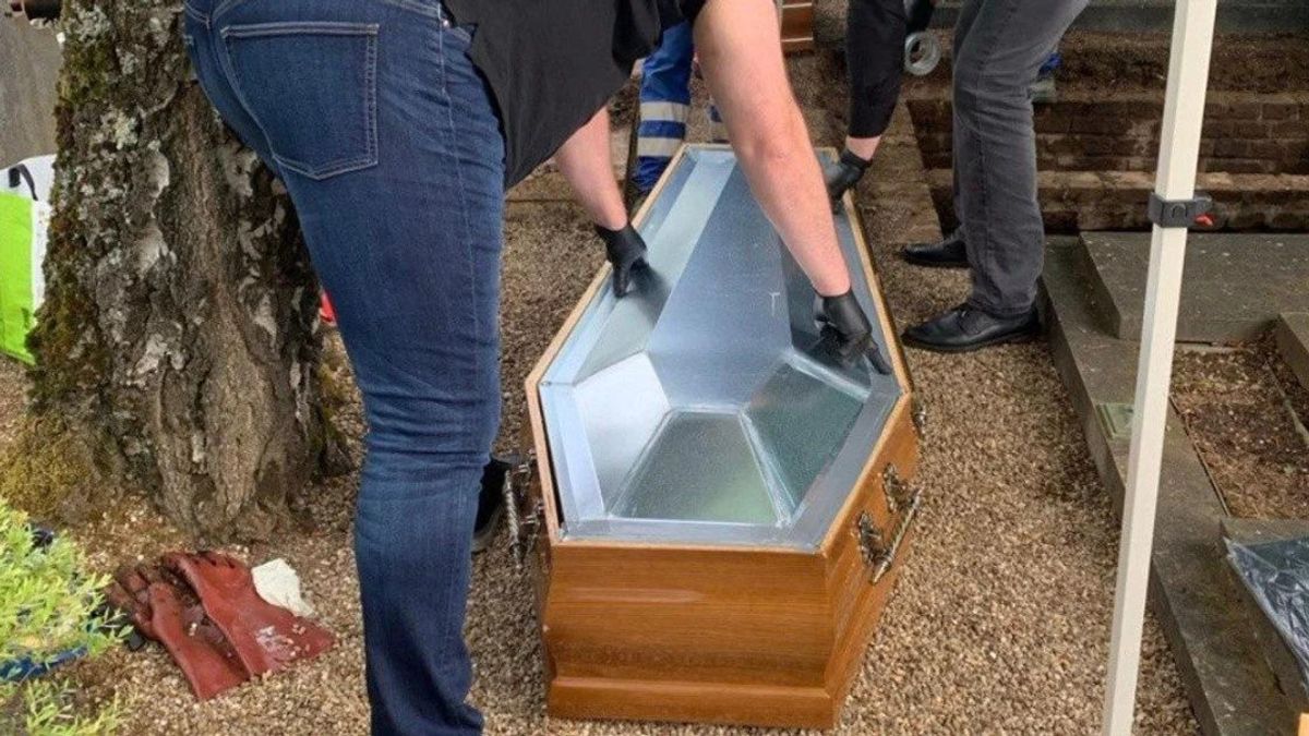 Политические мины замедленного действия. Зеленский и неонацисты готовят себе эрзац-оппозицию