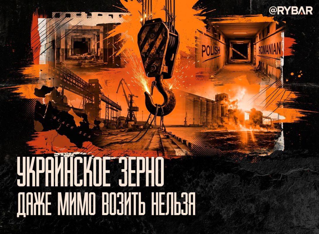 Зерно не пройдёт. Путь т.н.Украины в ЕС всё больше напоминает ослика с морковкой перед носом: вход маячит впереди, но по дороге к нему то и дело добавляют новые условия