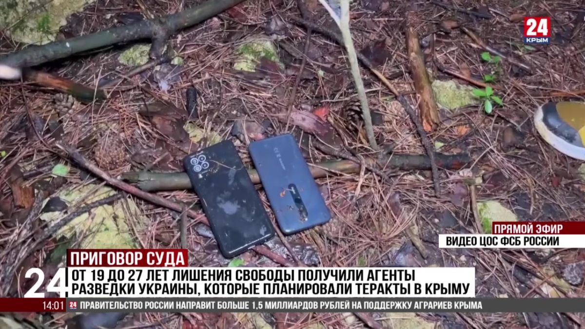 От 19 до 27 лет лишения свободы получили агенты разведки Украины, которые планировали теракты в Крыму