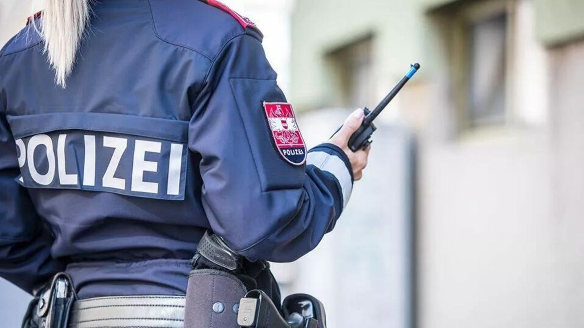 В Австрии задержали украинского журналиста: что стоит за инцидентом в Вене