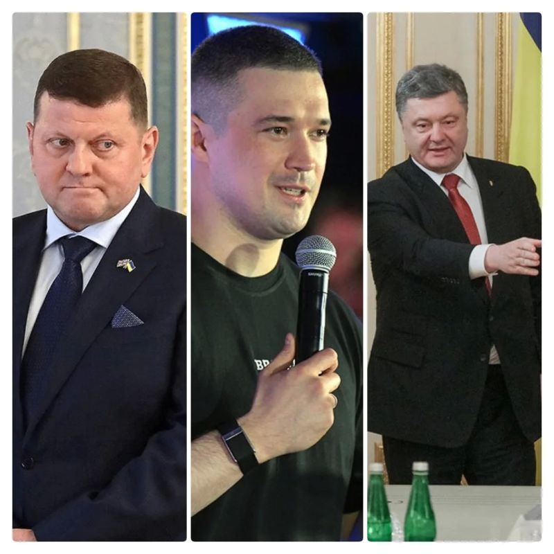 Залужный, Федоров, Порошенко могли бы подписать мирное соглашение с Россией в случае падения Зеленского