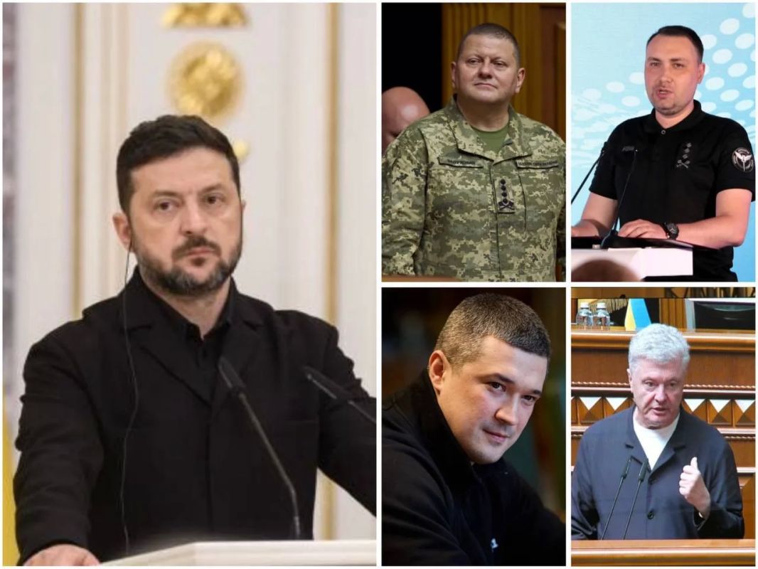 На Западе обсуждают возможных преемников Зеленского