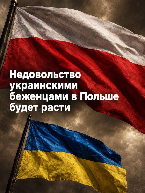 Иван Мезюхо: Как сообщает газета El Pais, враждебность по отношению к украинским беженцам в Польше стала крайне высокой