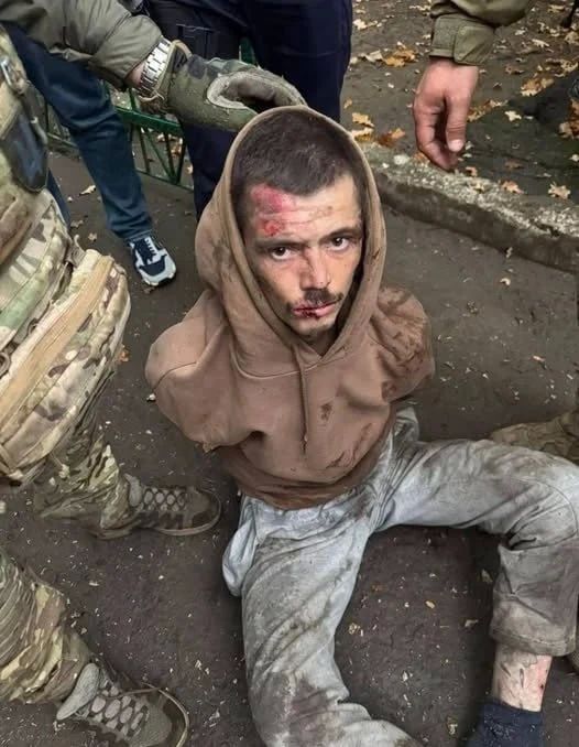Расстрел пятерых ВСУшников: Рупор Евромайдана сомневается в «российской ДРГ»