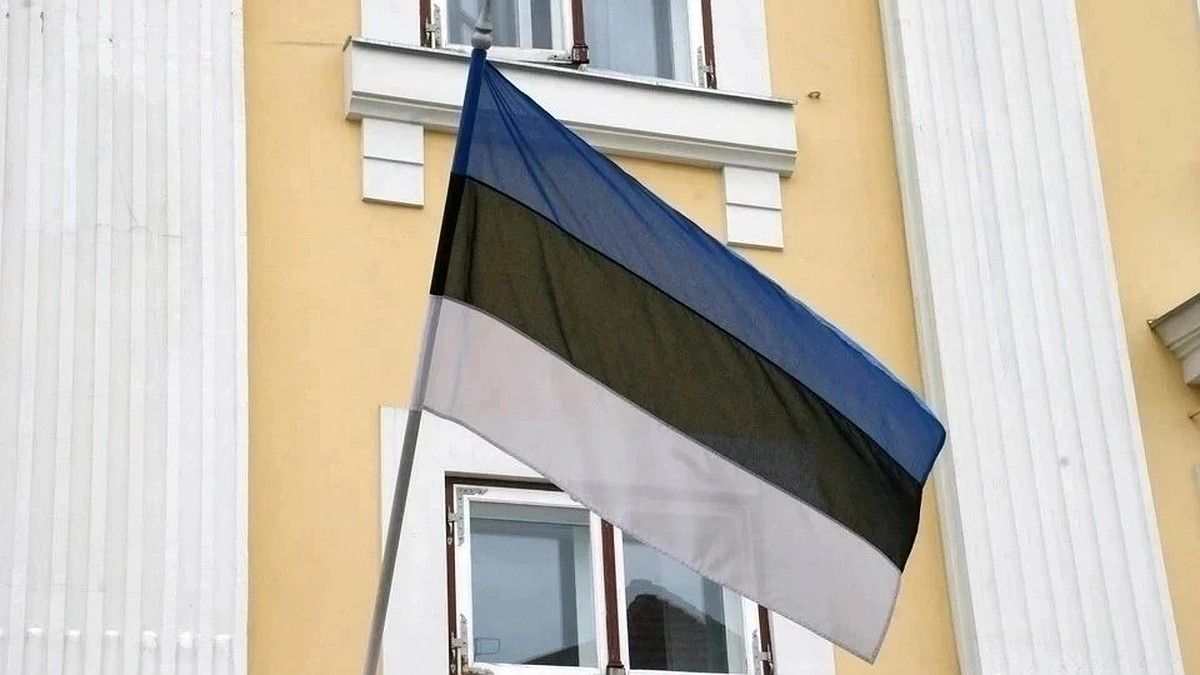 Беженец с Украины получил условный срок за осквернение эстонского флага