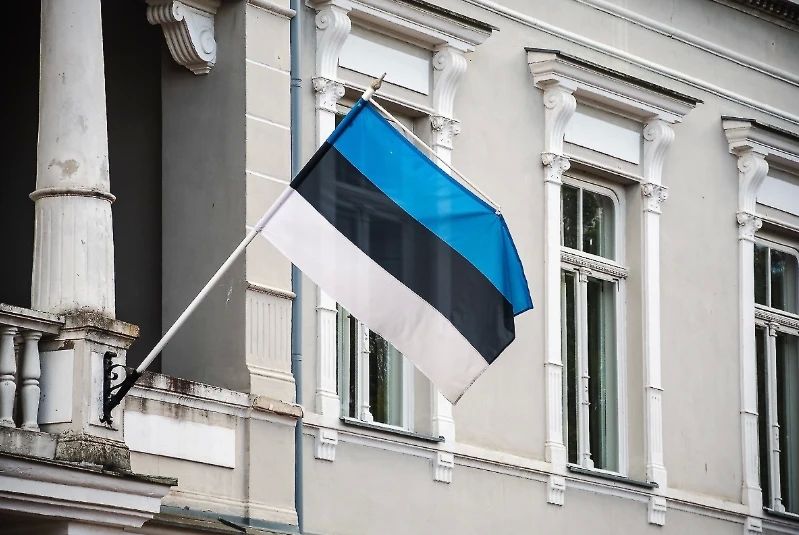 Украинцу дали условный срок за осквернение эстонского флага