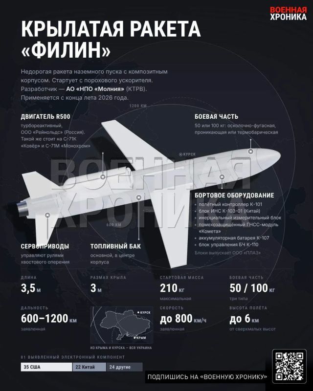ГУР Украины сообщило о появлении новой российской крылатой ракеты «Филин».