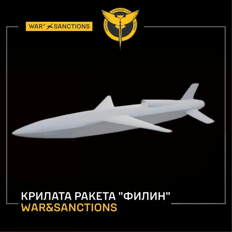 ГУР Украины рассказал о новой российской крылатой ракете "Филин", начавшей применяться с конца лета