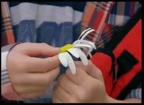 Подписчики спрашивают: а Польша не передумает?