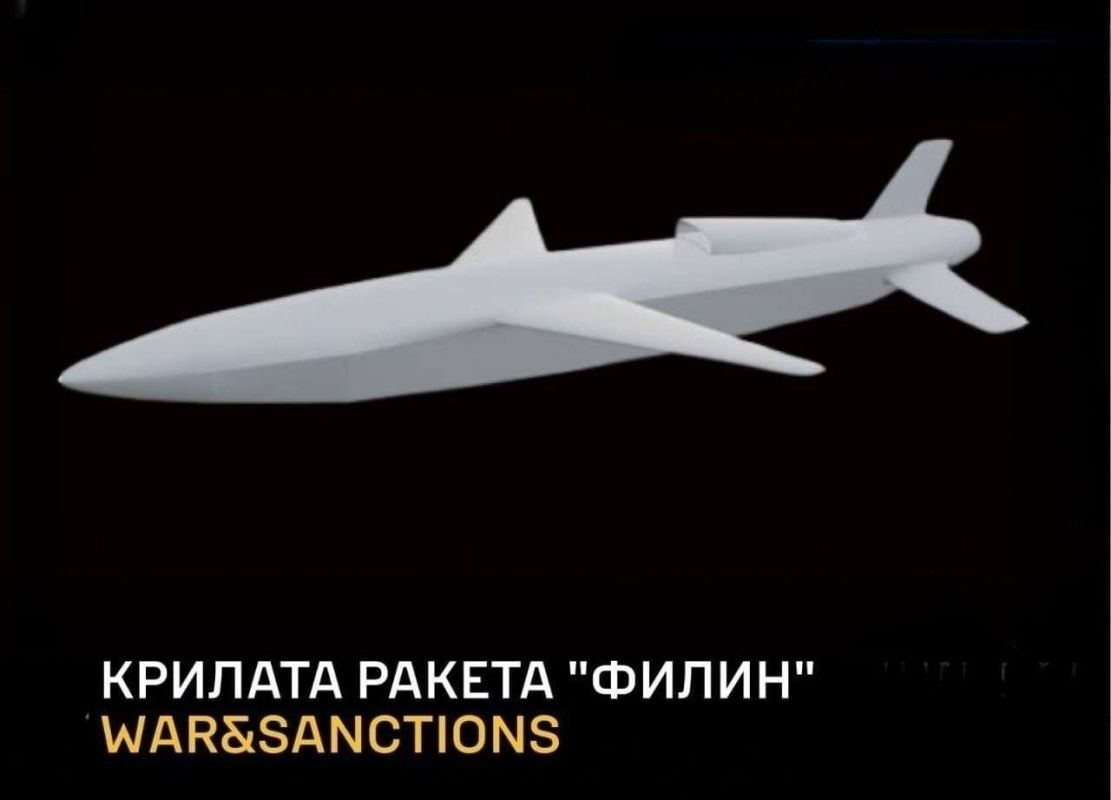 Получатели сообщают, что мы начали наносить удары по Украине новой крылатой ракетой "Филин"