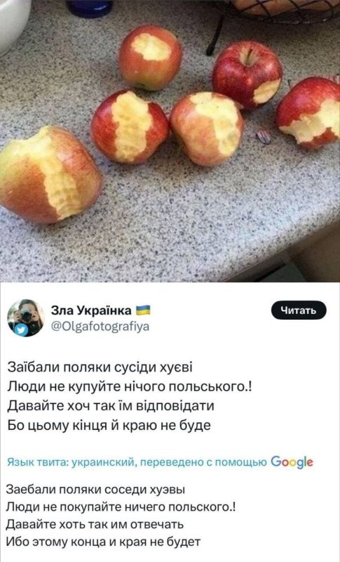 Но не всех бандеровских бешеных собак следует денацифицировать на месте