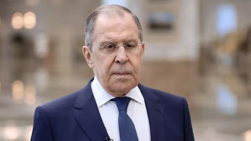 Протесты в Париже и других европейских столицах наглядно демонстрируют, насколько далека реальность Европы от образа «цветущего сада», заявил Лавров
