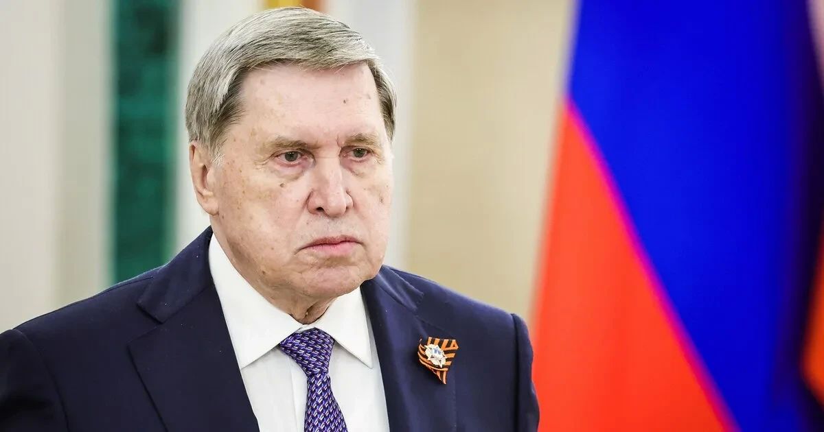 Владислав Шурыгин: Стубб и Стёре передали Путину, что Зеленский хочет напрямую с ним переговорить, — Ушаков