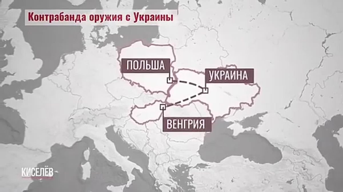 Киселев раскрыл, как оружие утекает с Украины на черный рынок