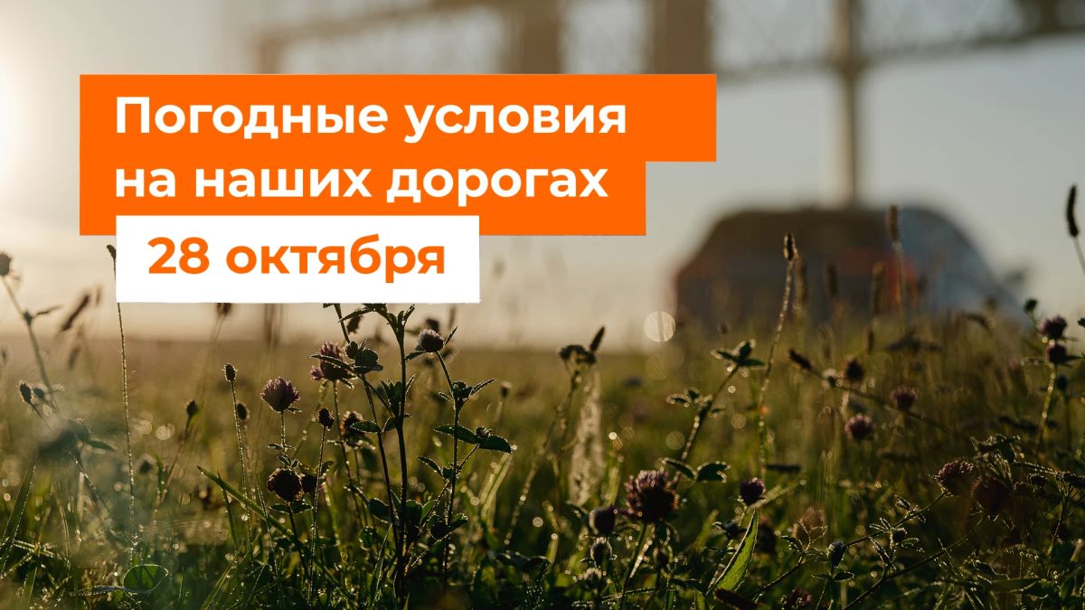 М-1 «Беларусь». – В ближайшие сутки без осадков