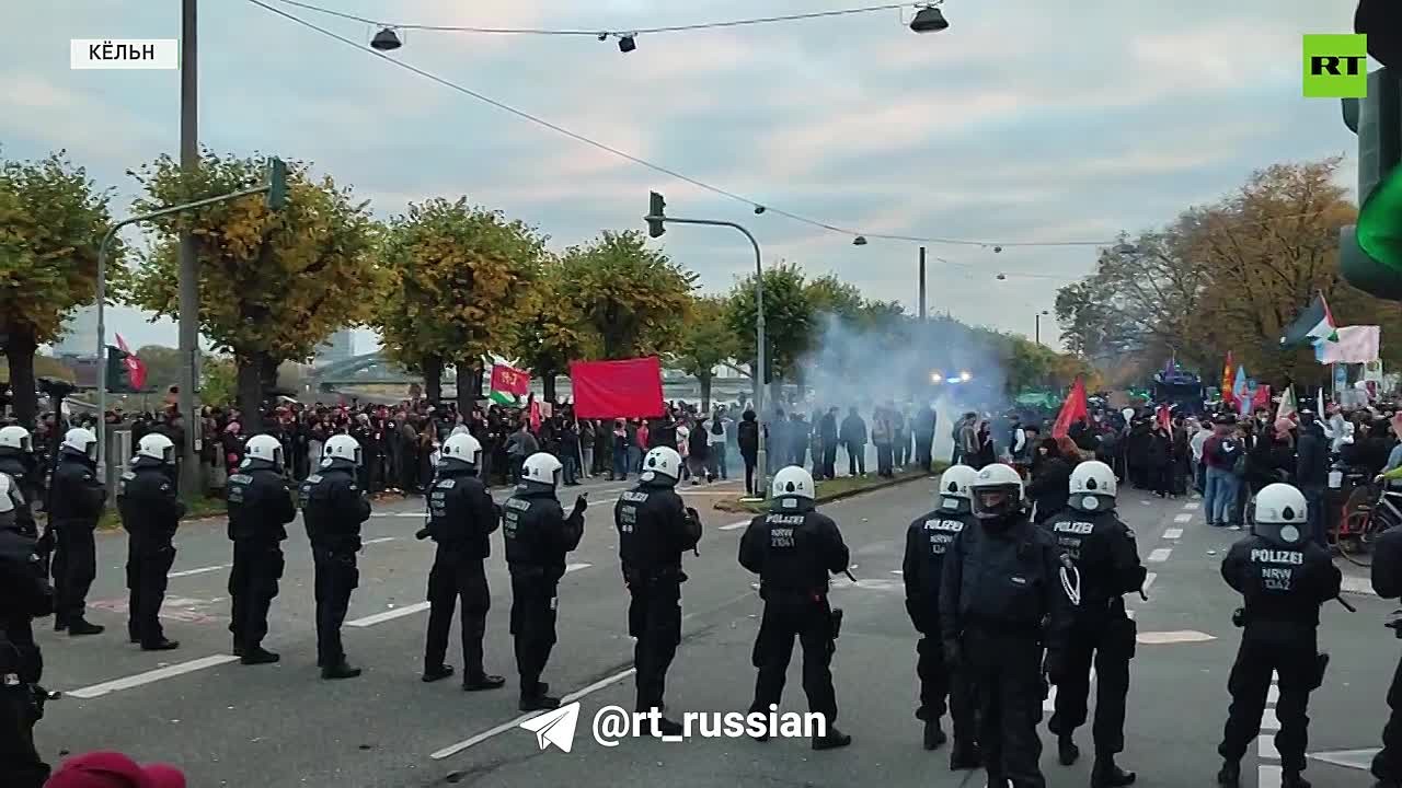 На протестах в Берлине, Кёльне и Гамбурге начались беспорядки