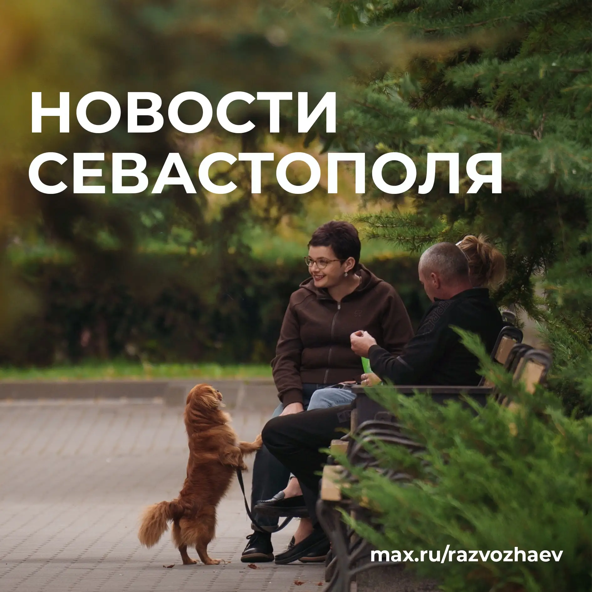 Михаил Развожаев: Коротко о главном:. Память защитников