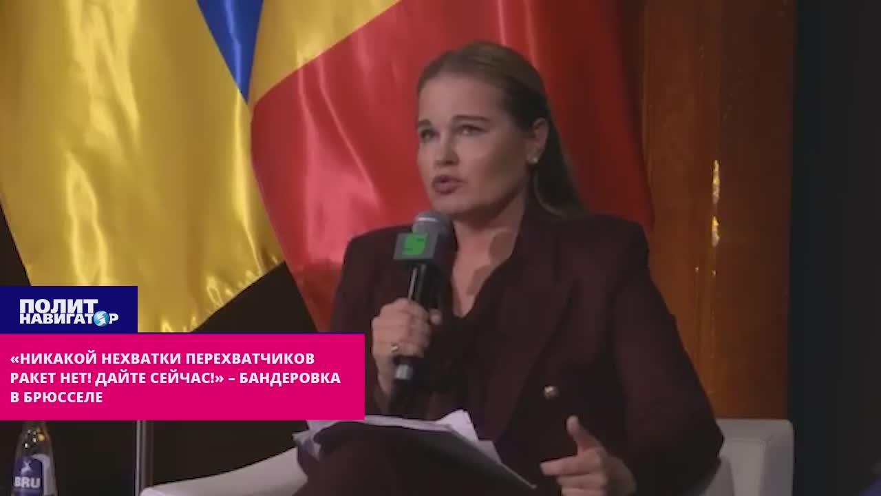 «Никакого дефицита ракет нет! Дайте сейчас!» – бандеровка раскатала губу в Брюсселе